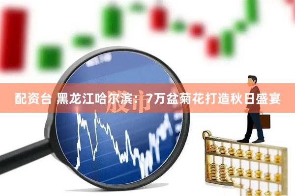 配资台 黑龙江哈尔滨：7万盆菊花打造秋日盛宴