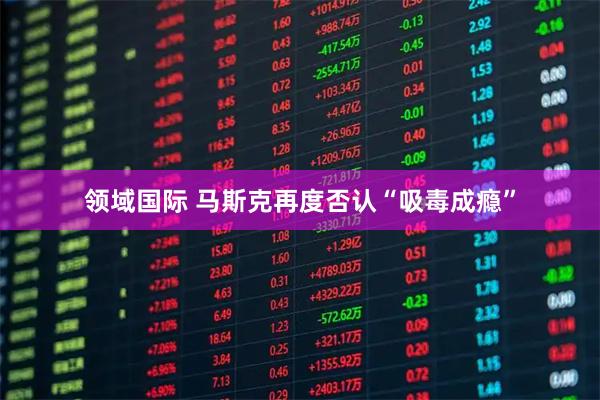 领域国际 马斯克再度否认“吸毒成瘾”