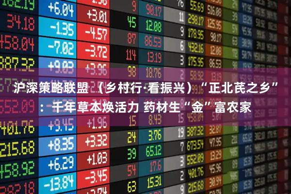 沪深策略联盟 （乡村行·看振兴）“正北芪之乡”：千年草本焕活力 药材生“金”富农家