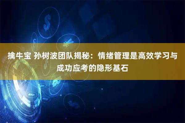 擒牛宝 孙树波团队揭秘：情绪管理是高效学习与成功应考的隐形基石