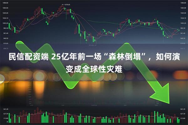 民信配资端 25亿年前一场“森林倒塌”，如何演变成全球性灾难